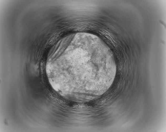 X0000096440503200802071751