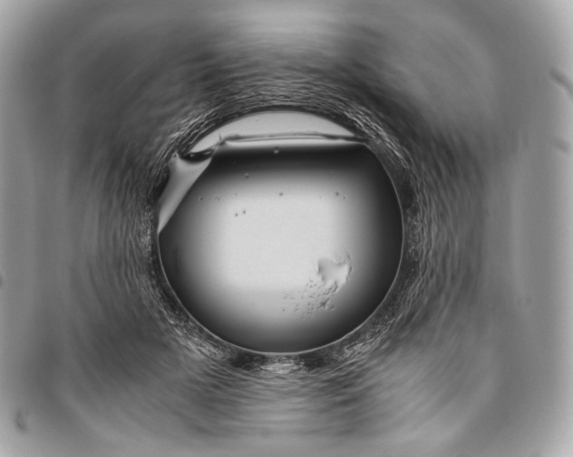 X0000096440505200802071751