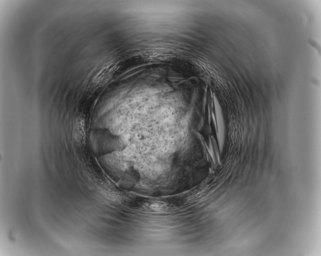 X0000096440506200802071751