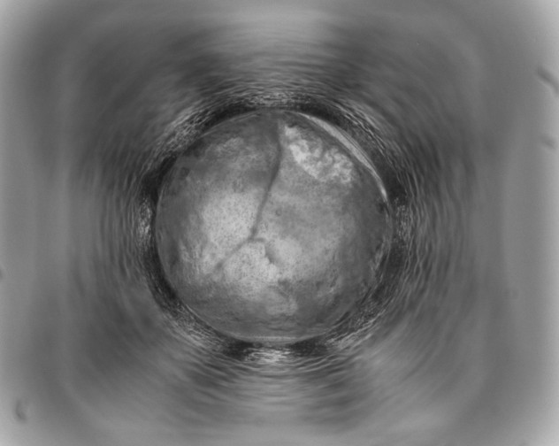 X0000096440507200802071751