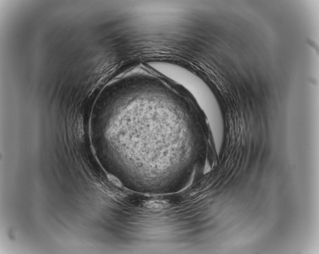 X0000096440508200802071751