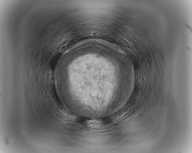 X0000096440511200802071751