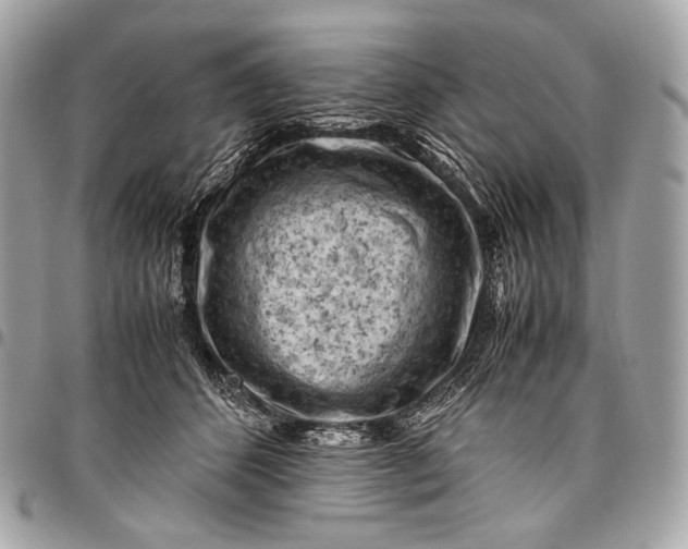 X0000096440512200802071751