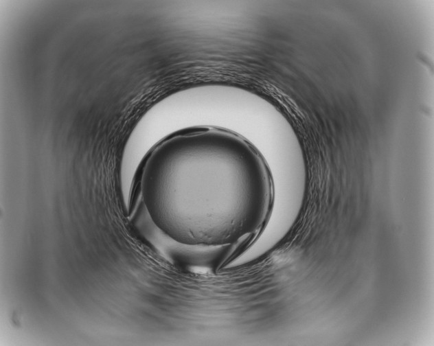 X0000096440513200802071751