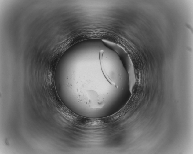 X0000096440514200802071751