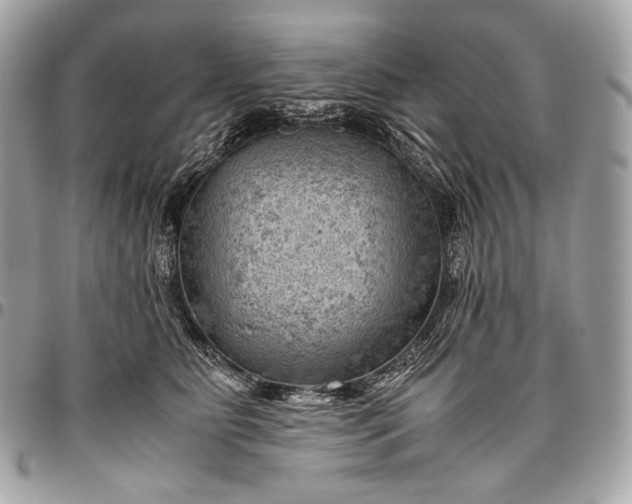 X0000096440515200802071751