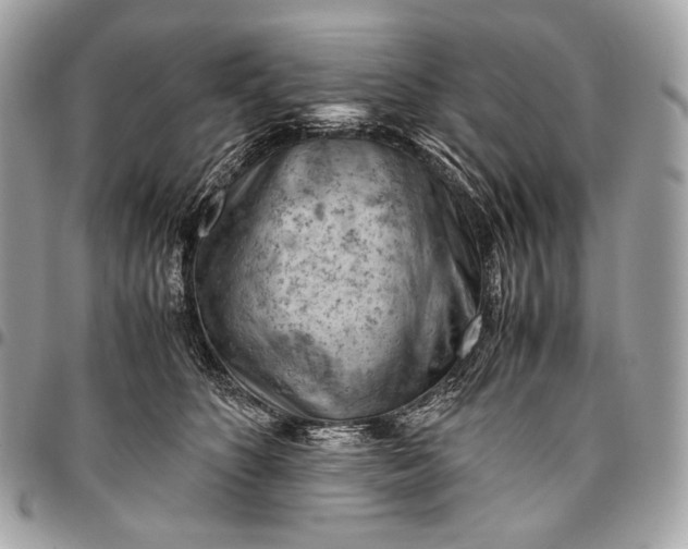 X0000096440516200802071751