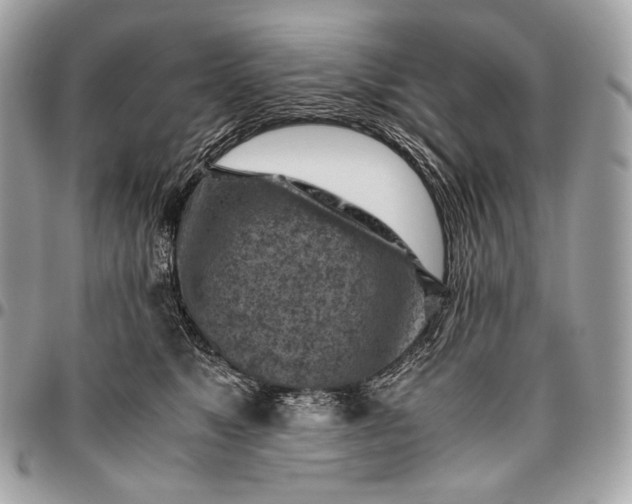 X0000096440517200802071751