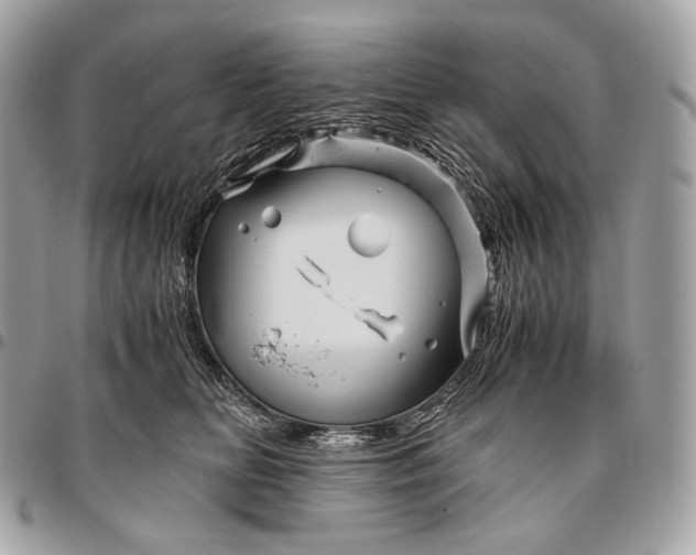 X0000096440518200802071751