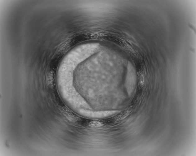 X0000096440519200802071751