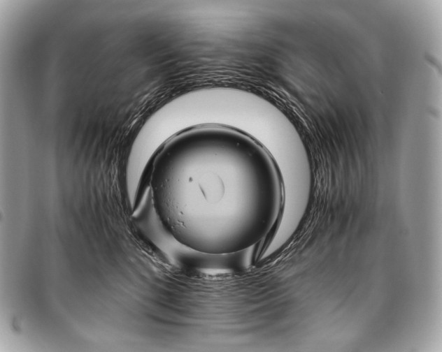 X0000096440520200802071751