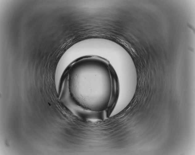 X0000096440521200802071751