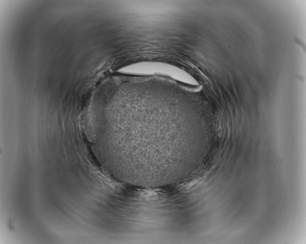 X0000096440523200802071751