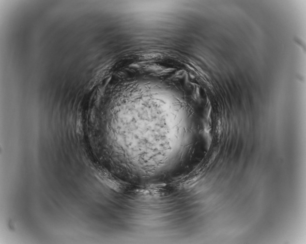 X0000096440524200802071751