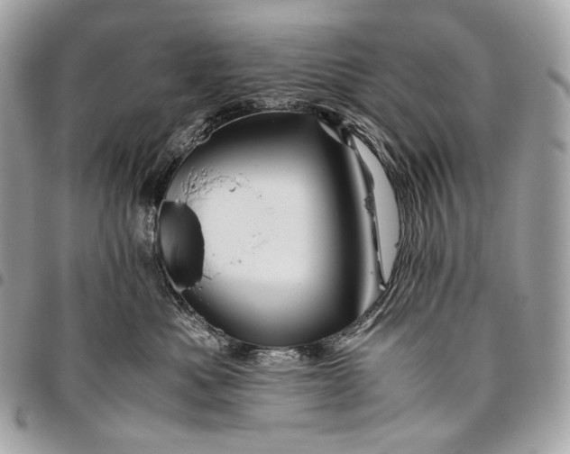 X0000096440525200802071751