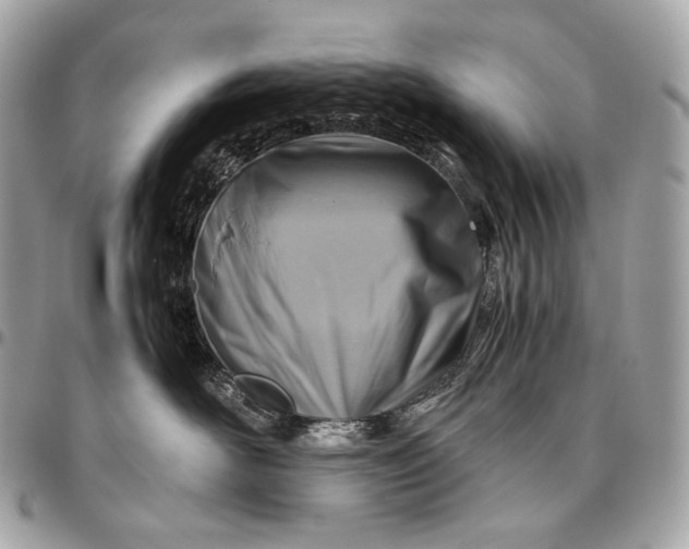 X0000096440526200802071751