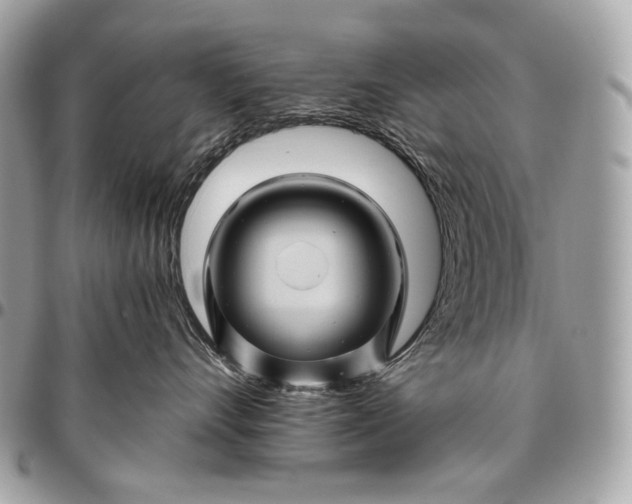 X0000096440528200802071751