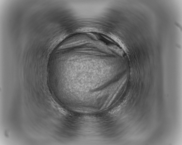 X0000096440529200802071750