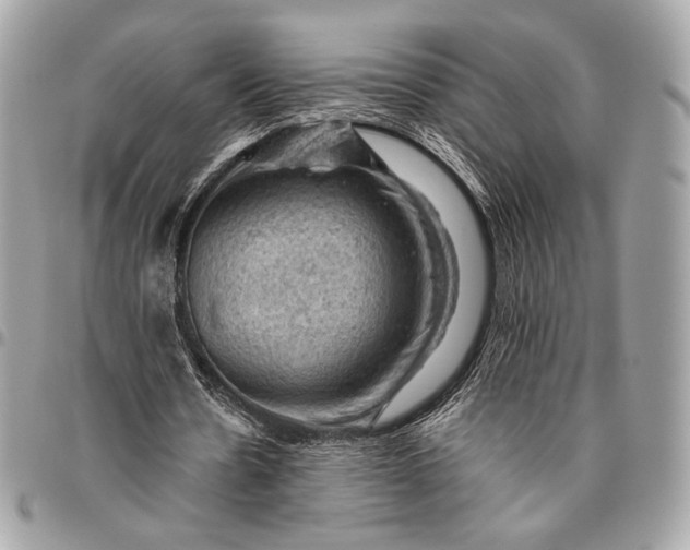 X0000096440530200802071750