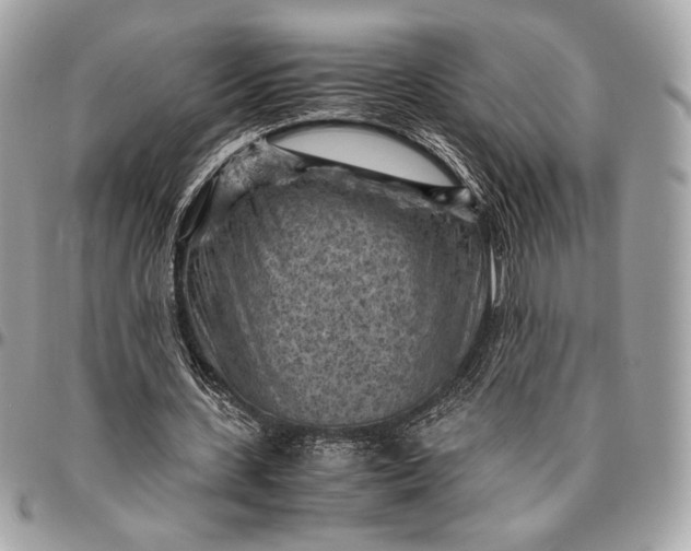 X0000096440531200802071750