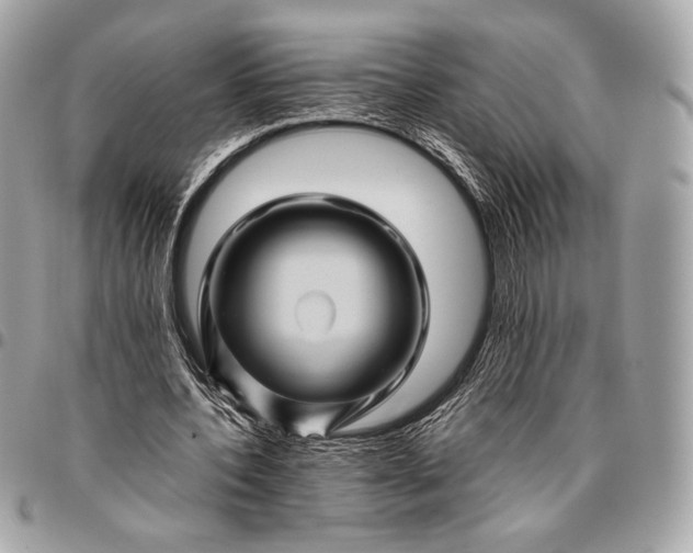 X0000096440532200802071750