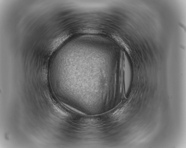 X0000096440533200802071750