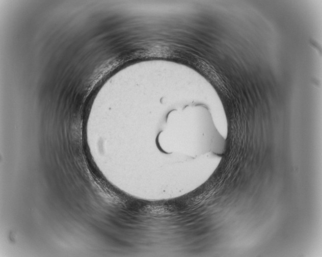 X0000096440534200802071750