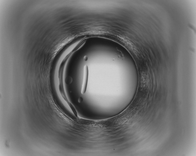 X0000096440535200802071750