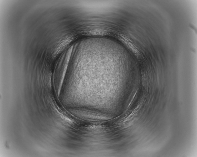 X0000096440537200802071750