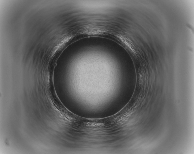 X0000096440539200802071750