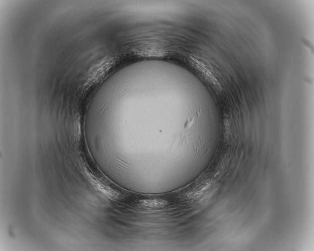 X0000096440541200802071750