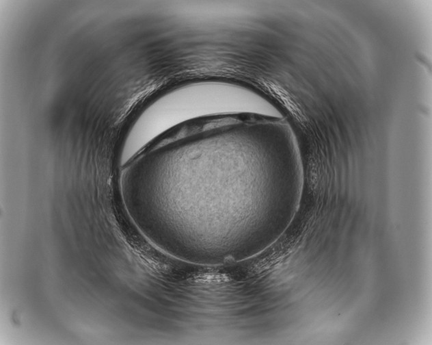 X0000096440543200802071750