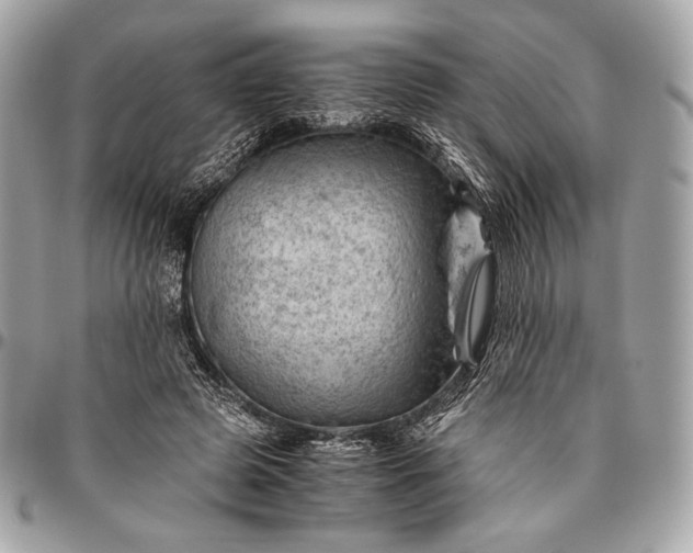 X0000096440545200802071751