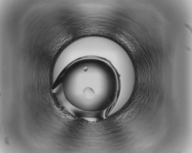 X0000096440546200802071751