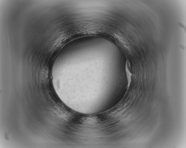 X0000096440548200802071751