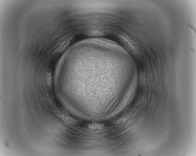 X0000096440549200802071751