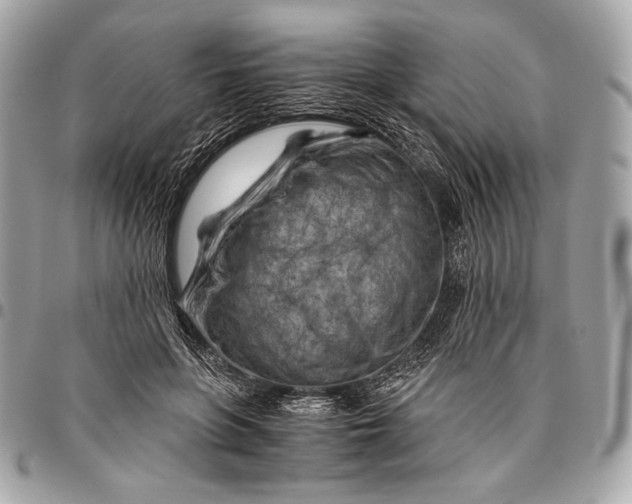 X0000096440551200802071751