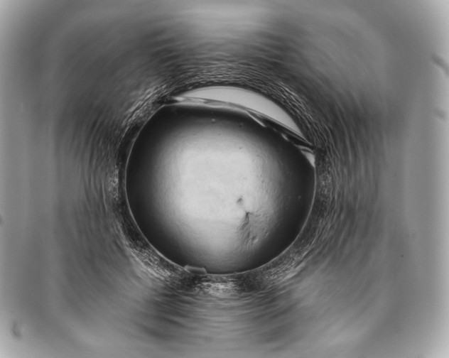 X0000096440552200802071751