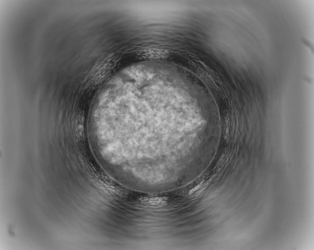 X0000096440553200802071751