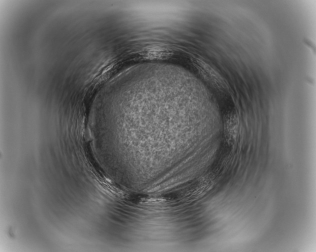 X0000096440554200802071751