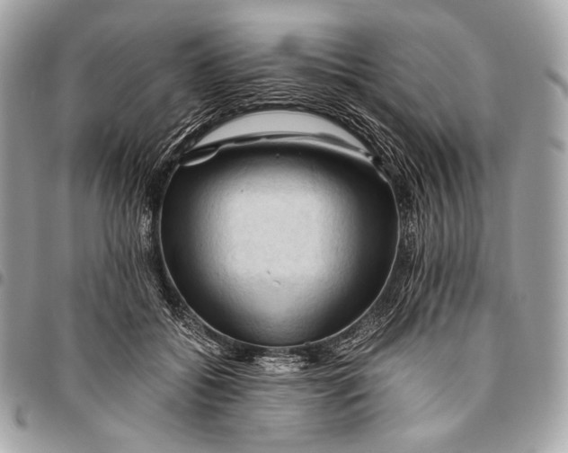 X0000096440556200802071751