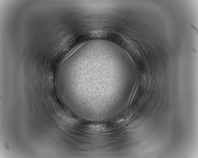 X0000096440557200802071751