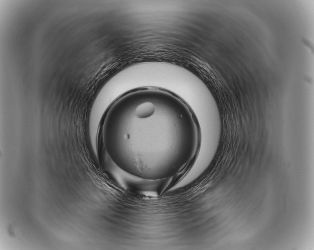 X0000096440558200802071751