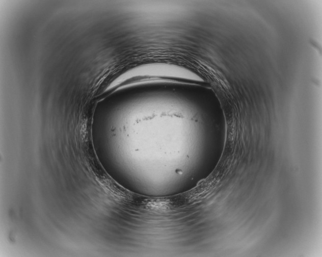 X0000096440560200802071751