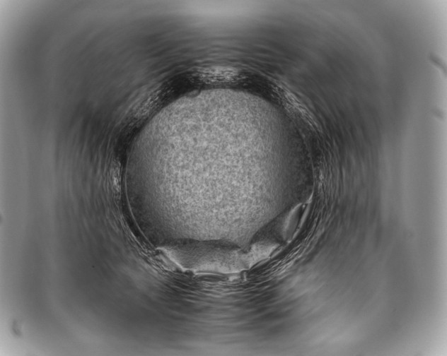 X0000096440561200802071751