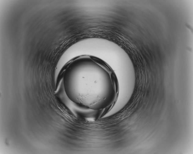 X0000096440562200802071751