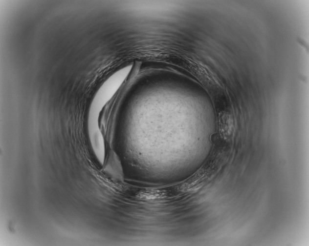 X0000096440563200802071751