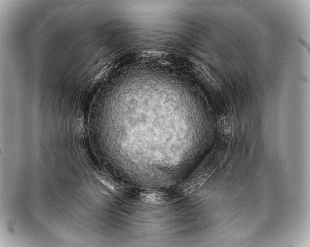 X0000096440564200802071751