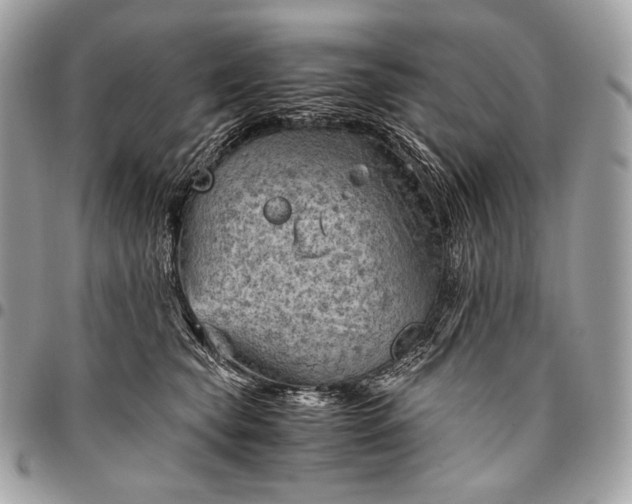 X0000096440565200802071751