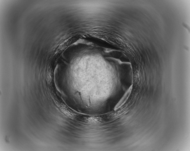 X0000096440566200802071751